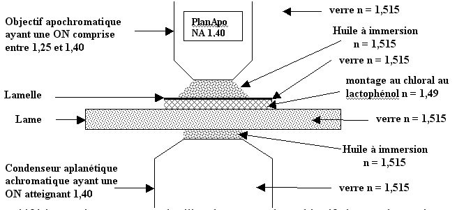 Pd_chimiq_02e