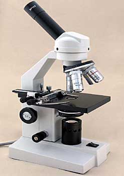 Le microscope optique Principe du microscope optique : - ppt video online  télécharger