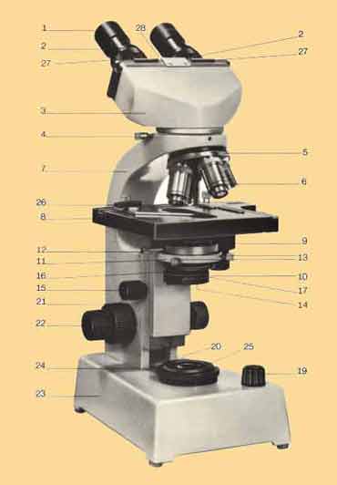 Le microscope optique - Biologie Simplifiée