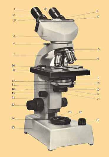 Le microscope <strong>optique</strong> ou photonique - [1ère